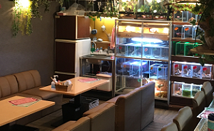 爬虫類カフェ