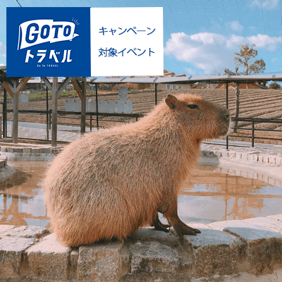 《大阪⇔ハーベストの丘》昼食はBBQ食べ放題付き♪日帰りバスツアー