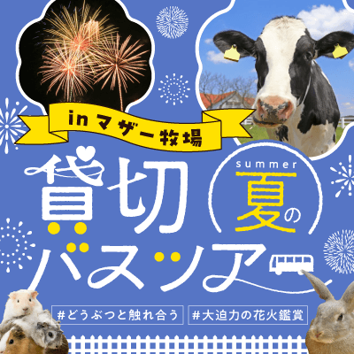 【マザー牧場】＼貸切バスツアー／出会いも観光も♡
夜のマザー牧場へ！最後は大迫力の花火鑑賞