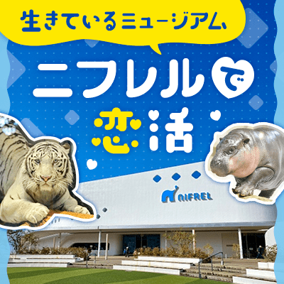 【大阪】＼大人気スポットでグループ恋活／
まるで遠足！みんなでニフレルへ行こう♪