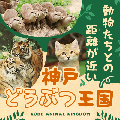 【兵庫/神戸】＼大人気スポットでグループ恋活／
まるで遠足！神戸どうぶつ王国へ行こう♪