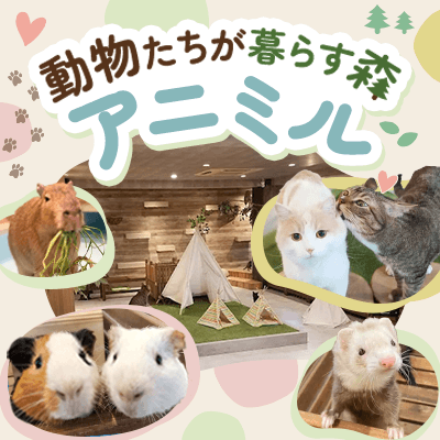 【大阪/心斎橋】＼日本最大級の動物ふれあいカフェ！／
【アニミルで開催】心もほっこり癒しの恋活