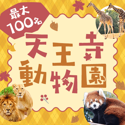 【大阪/天王寺】＼最大100名♡色づく紅葉、恋の予感！／
《秋の天王寺動物園》グループお散歩コン