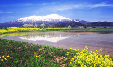 都道府県画像