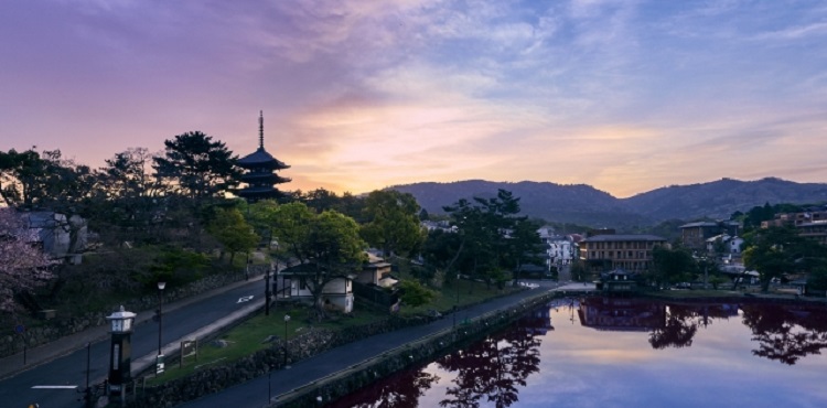 奈良県の街コン・イベント