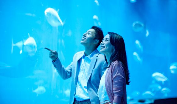水族館で出会う