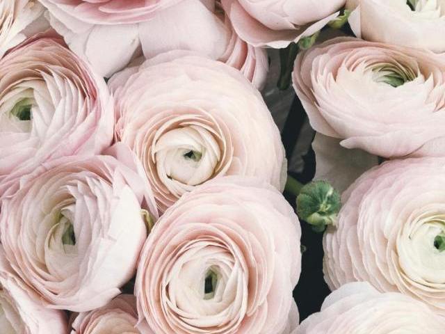 シニアで婚活する人が増えているのはなぜ？