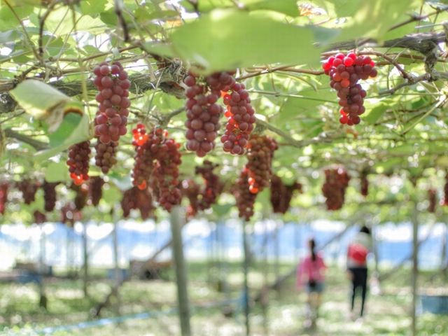 婚活ツアーならではの出会いのポイント