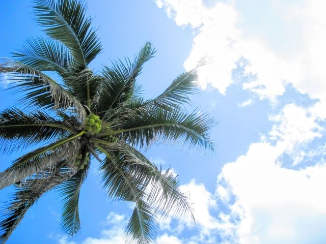 IBJ Matchingで開催された婚活ツアーをご紹介！