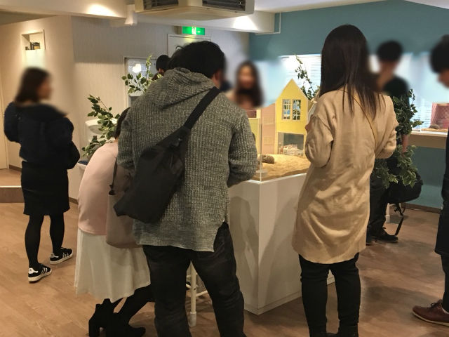 連絡先交換自由！フリータイムもほっこり癒しの時間♪