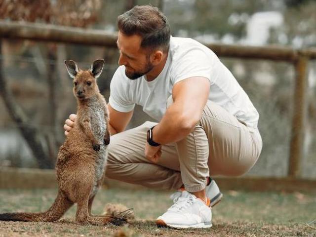 動物園コンの概要は？