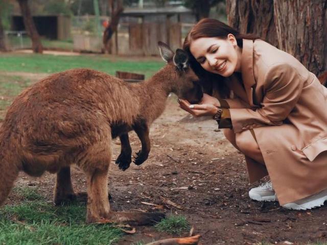 動物園コンの魅力と参加するメリット4選