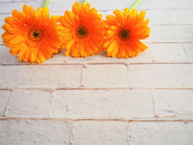 婚活パーティーで結婚を近づける3つのコツ