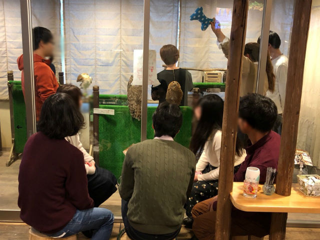 自己紹介タイム～実際にふくろうに触ってドキドキ♪